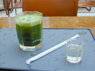 A hot menu item, vibrant green iced matcha