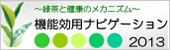 緑茶と健康のメカニズム[