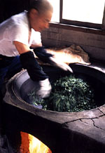 Mr. Todaka (Soyoucho, Aso county, Kumamoto prefecture) 