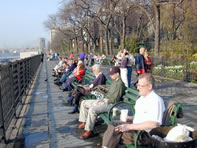 Relaxing at Brooklyn Promenade with a cup of tea in one hand.
