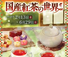 ｺｸｻﾝｺｳﾁｬ