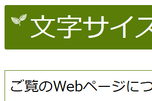 2倍に拡大する