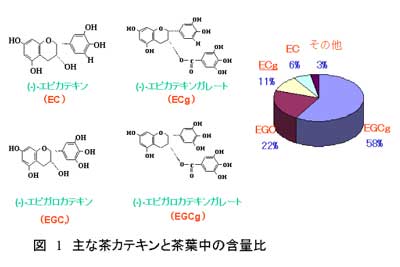 高血糖、免疫力、認知症、不眠、イライラ、更年期障害にまで